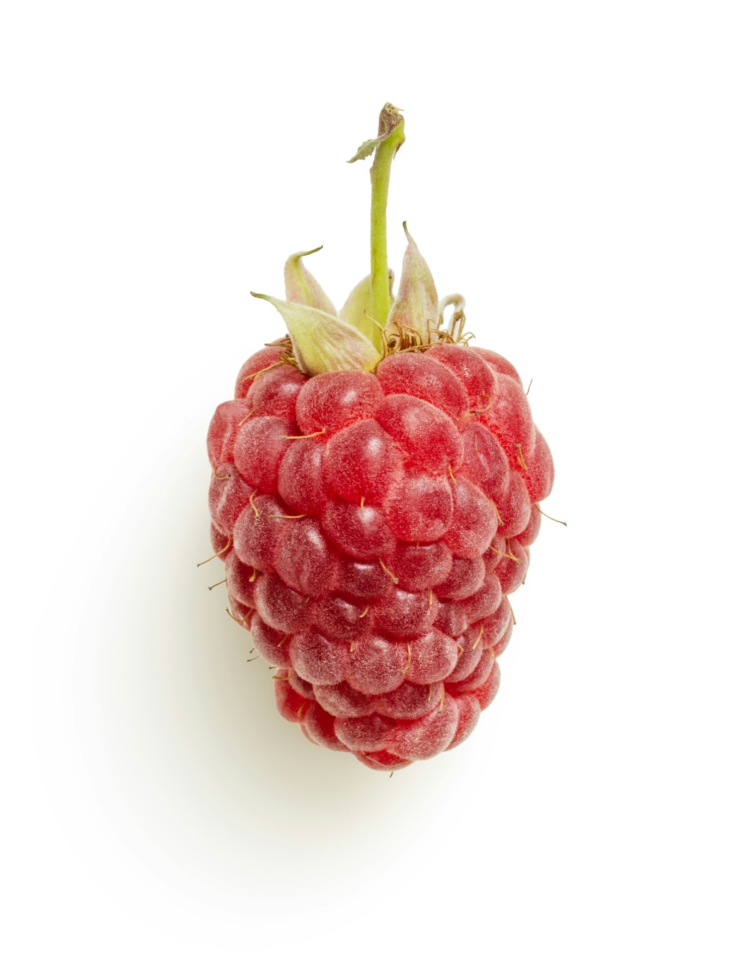 Himbeeren neu entdeckt: Die Kunst des Himbim